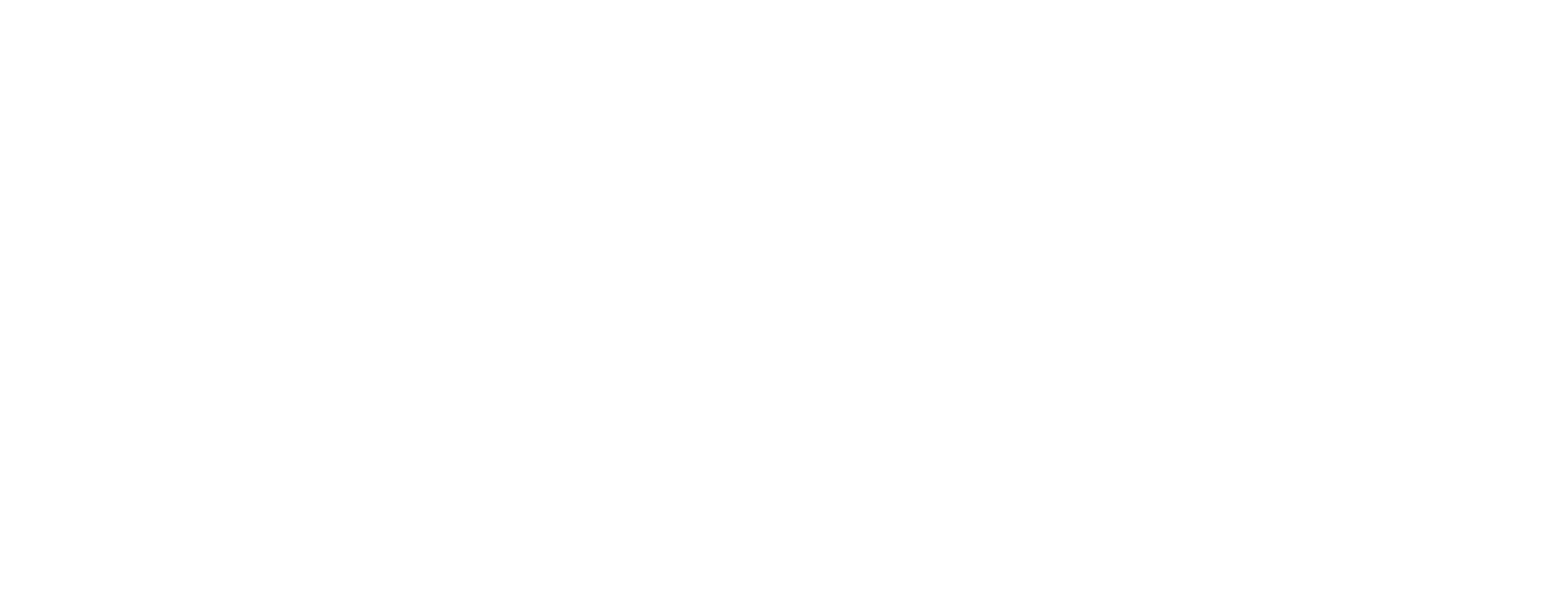 Museum of Sex Logo